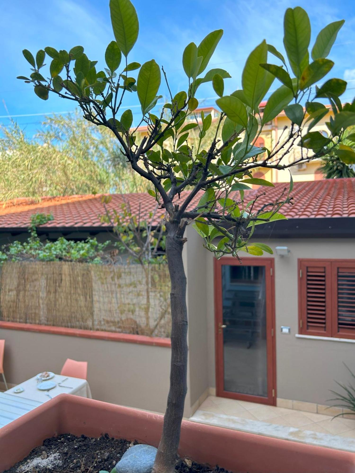 La Piazzetta Acomodação com café da manhã Giardini Naxos Exterior foto